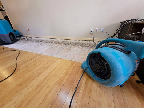 Professional Basement Flood Cleanup technician working in Kistler, WV
